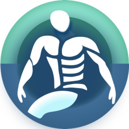 Logo der Physiotherapie im Zentrum in Quakenbrück – stilisierte menschliche Figur in Blau- und Grüntönen.